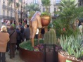DSC08265.JPG
