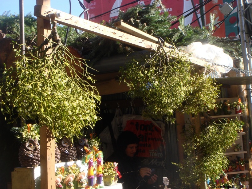 DSC08290.JPG
