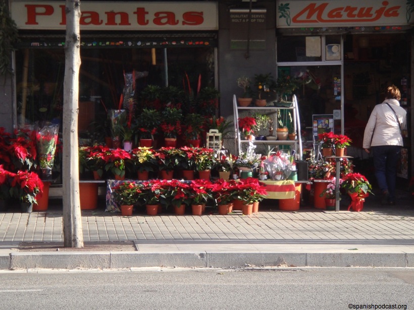 DSC08364.JPG