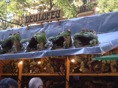 DSC08285.JPG