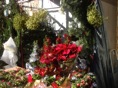 DSC08287.JPG