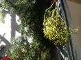 DSC08288.JPG