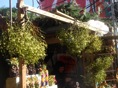 DSC08290.JPG