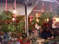 DSC08294.JPG