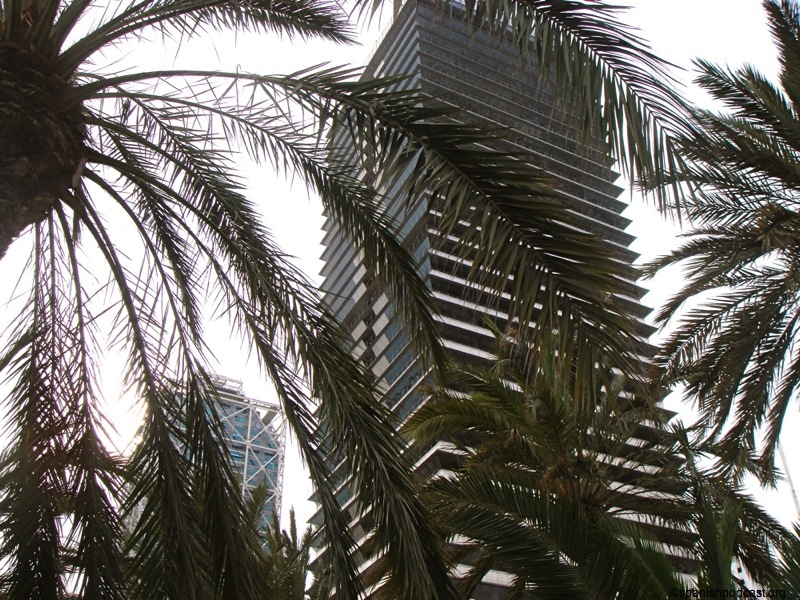 DSC04244.JPG
