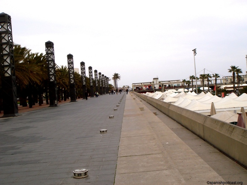 DSC04252.JPG