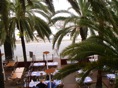 DSC04240.JPG
