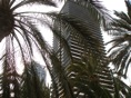 DSC04244.JPG