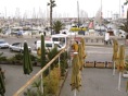 DSC04246.JPG