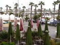 DSC04248.JPG