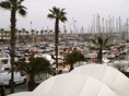 DSC04253.JPG