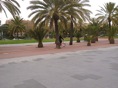 DSC04255.JPG