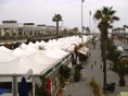 DSC04257.JPG