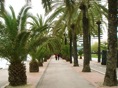 DSC04273.JPG