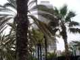 DSC04274.JPG