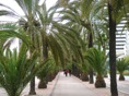 DSC04275.JPG