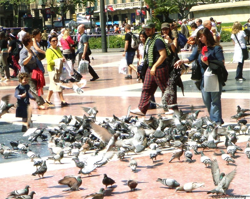 DSC08650 2