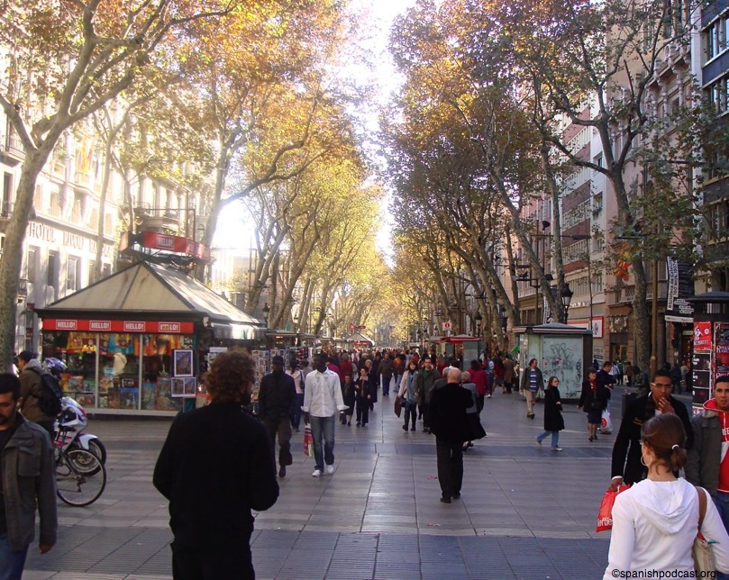 ramblas:la rambla:estudis