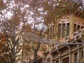(*)Detalle real acad. cienc