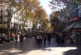 rbla canaletes i estudis