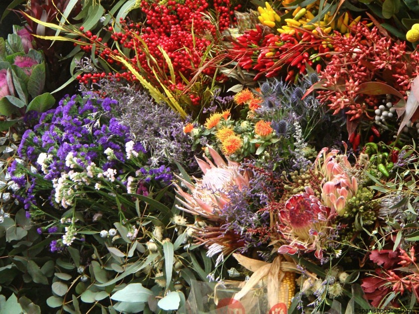las flores de la rambla
