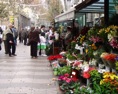 Flores en rambla de san josé