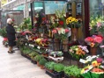 La Rambla, puesto de flors