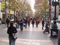 (*)rambla de las flores