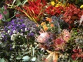 las flores de la rambla