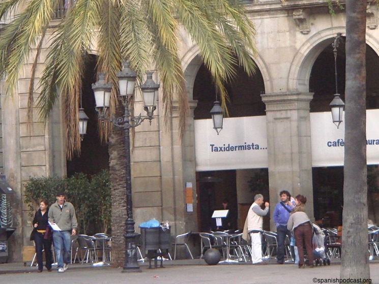 cafetería plaza real