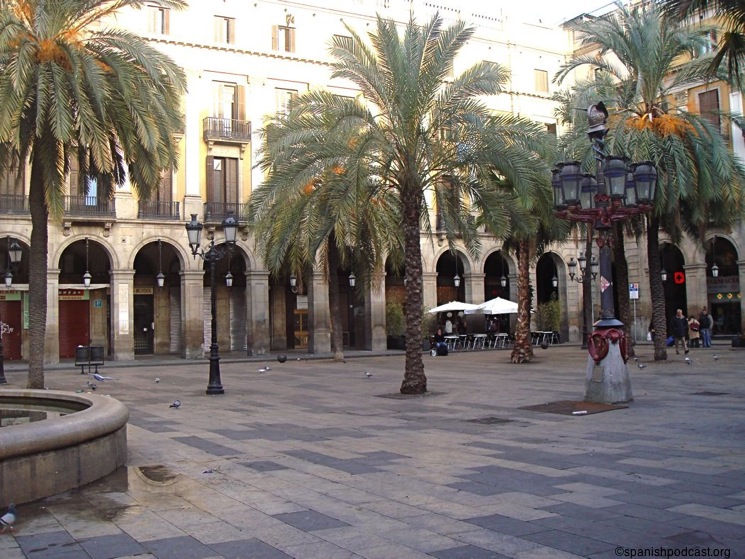 palmeres:pça reial