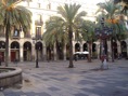 palmeres:pça reial