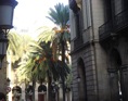 palmeres plaza real