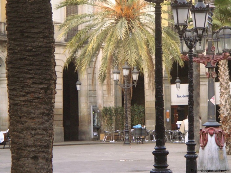 terrasses pça reial