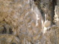 DSC05323.JPG