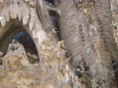 DSC05324.JPG
