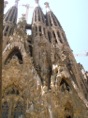 DSC05330.JPG
