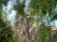 DSC05345.JPG