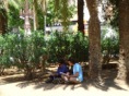 DSC05346.JPG