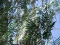DSC05349.JPG