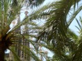 DSC05350.JPG