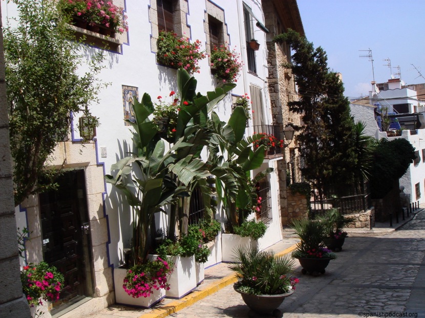 Calles llenas de plantas y flores