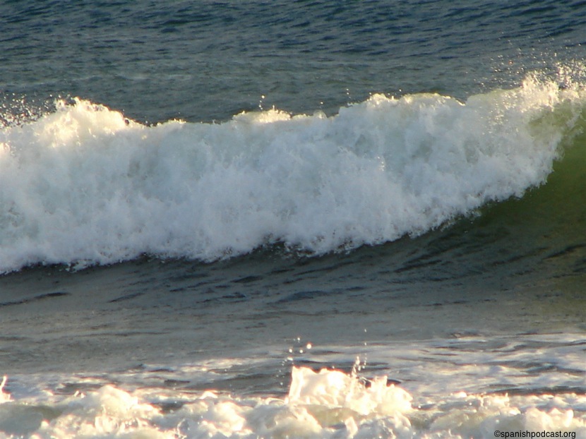 Olas