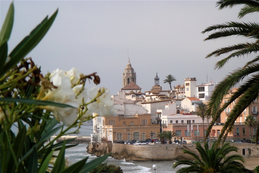 adelfes, palmeres y platja