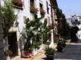 Calles llenas de plantas y flores