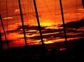 Los mástiles de los barcos en la puesta de sol