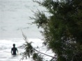 Naturaleza