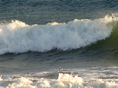 Olas