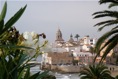 adelfes, palmeres y platja