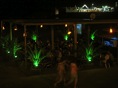 DSC07113.JPG